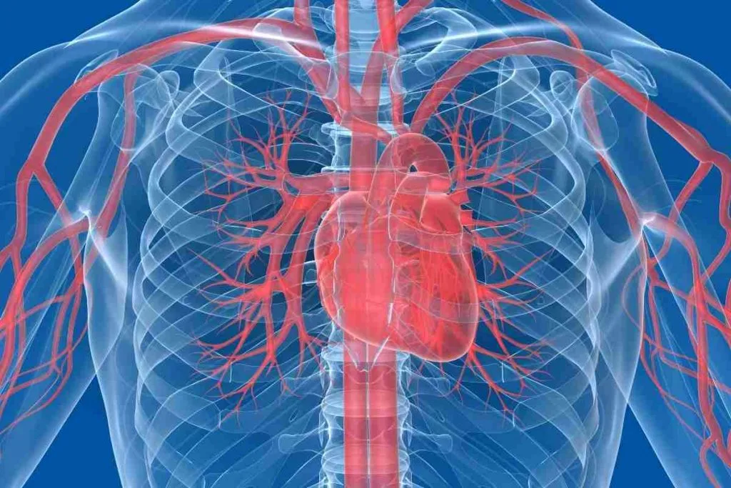 cirurgia-para-tapar-furo-no-coracao