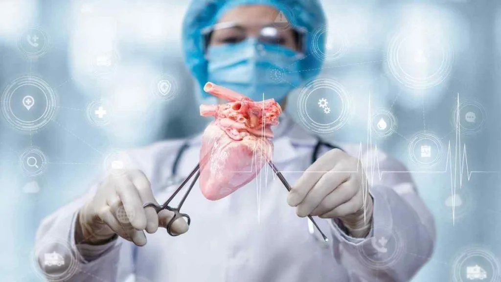 Pesquisadores descobrem nova abordagem para tratar doenças cardiovasculares Pesquisadores descobrem nova abordagem para tratar doenças cardiovasculares