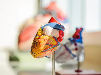 Quais são os benefícios da cirurgia de sopro no coração