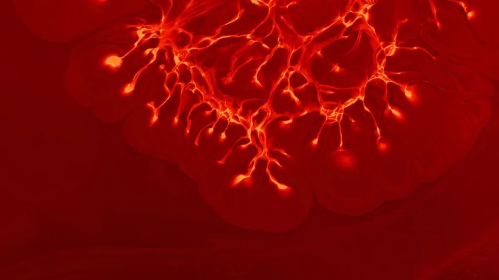 Visão embaçada pode indicar aneurisma cerebral Visão embaçada pode indicar aneurisma cerebral