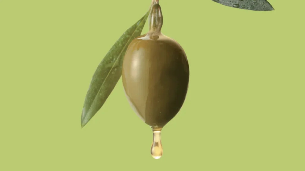 Azeitona: os benefícios do fruto além do azeite Azeitona: os benefícios do fruto além do azeite